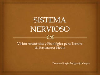 Visión Anatómica y Fisiológica para Tercero
           de Enseñanza Media



                       Profesor Sergio Melgarejo Vargas
 
