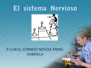 El sistema Nervioso




P.U.M.Q. CORNEJO NOVOA ANNEL
           GABRIELA
 