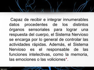 Capaz de recibir e integrar innumerables
datos procedentes de los distintos
órganos sensoriales para lograr una
respuesta del cuerpo, el Sistema Nervioso
se encarga por lo general de controlar las
actividades rápidas. Además, el Sistema
Nervioso es el responsable de las
funciones intelectivas, como la memoria,
las emociones o las voliciones*.
 