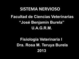 SISTEMA NERVIOSO
Facultad de Ciencias Veterinarias
    “José Benjamín Burela”
          U.A.G.R.M.

    Fisiología Veterinaria I
   Dra. Rosa M. Teruya Burela
             2013
 