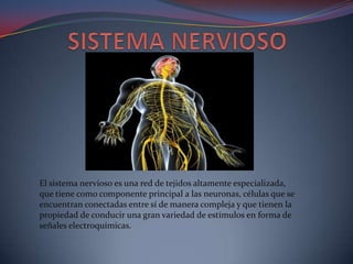 El sistema nervioso es una red de tejidos altamente especializada,
que tiene como componente principal a las neuronas, células que se
encuentran conectadas entre sí de manera compleja y que tienen la
propiedad de conducir una gran variedad de estímulos en forma de
señales electroquímicas.
 