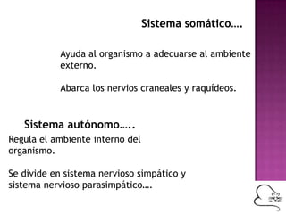 Sistema somático….
Ayuda al organismo a adecuarse al ambiente
externo.
Abarca los nervios craneales y raquídeos.
Sistema autónomo…..
Regula el ambiente interno del
organismo.
Se divide en sistema nervioso simpático y
sistema nervioso parasimpático….
 