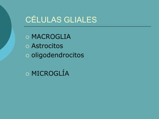 CÉLULAS GLIALES
 MACROGLIA
 Astrocitos
 oligodendrocitos
 MICROGLÍA
 