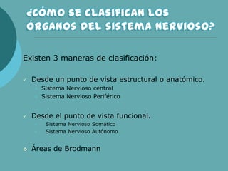 Existen 3 maneras de clasificación:
 Desde un punto de vista estructural o anatómico.
 Sistema Nervioso central
 Sistema Nervioso Periférico
 Desde el punto de vista funcional.
 Sistema Nervioso Somático
 Sistema Nervioso Autónomo
 Áreas de Brodmann
 