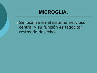 MICROGLIA.
 Se localiza en el sistema nervioso
central y su función es fagocitar
restos de desecho.
 