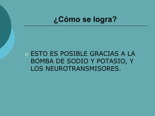 ¿Cómo se logra?
 ESTO ES POSIBLE GRACIAS A LA
BOMBA DE SODIO Y POTASIO, Y
LOS NEUROTRANSMISORES.
 