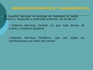  El Sistema Nervioso se encarga de mantener el medio
interno y responder a estímulos externos. Se divide en:
INERVACIÓN SÍMPATICA Y PARASIMPÁTICA
 Sistema Nervioso Central: Lo que esta dentro de
cráneo y columna vertebral
Sistema Nervioso Periférico: que son todas las
ramificaciones que salen del central.
 