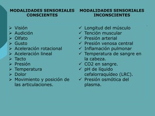 MODALIDADES SENSORIALES
CONSCIENTES
MODALIDADES SENSORIALES
INCONSCIENTES
 Visión
 Audición
 Olfato
 Gusto
 Aceleración rotacional
 Aceleración lineal
 Tacto
 Presión
 Temperatura
 Dolor
 Movimiento y posición de
las articulaciones.
 Longitud del músculo
 Tención muscular
 Presión arterial
 Presión venosa central
 Inflamación pulmonar
 Temperatura de sangre en
la cabeza.
 CO2 en sangre.
 pH de líquido
cefalorraquídeo (LRC).
 Presión osmótica del
plasma.
 