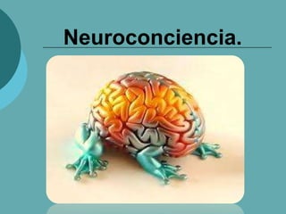 Neuroconciencia.
 