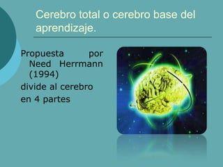 Cerebro total o cerebro base del
aprendizaje.
Propuesta por
Need Herrmann
(1994)
divide al cerebro
en 4 partes
 