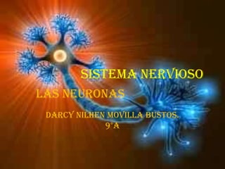SISTEMA NERVIOSO
LAS NEURONAS
DARCY NILHEN MOVILLA BUSTOS.
9°A

 