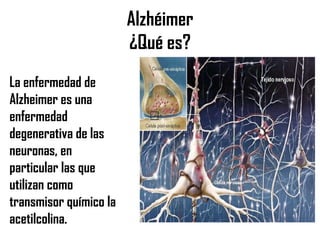 Alzhéimer
¿Qué es?
La enfermedad de
Alzheimer es una
enfermedad
degenerativa de las
neuronas, en
particular las que
utilizan como
transmisor químico la
acetilcolina.
 