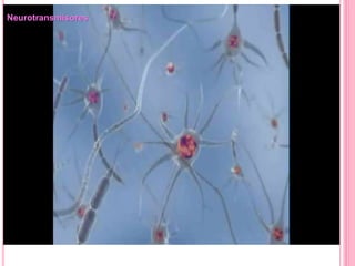 Neurotransmisores
 