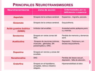 PRINCIPALES NEUROTRANSMISORES
Neurotransmisores Zona de acción Enfermedades por su
deficiencia o ausencia
Aspartato Sinapsis de la corteza cerebral. Espasmos , migraña, psicosis.
Glutamato Sinapsis de la corteza cerebral. Esquizofrenia.
Acido g-amino butírico
(GABA)
Inhibidor del encéfalo. Ansiedad,estrés,apilepsia,panic
o y manías.
Serotonina Sinapsis en varias zonas del
SNC.
Perdida de memoria y demencia
senil.
Acetilcolina Sinapsis de neuronas motoras,
músculos , glándulas, SN
parasimpático y SNC.
Depresión , Parkinson y en
exceso esquizofrenia.
Dopamina Sinapsis en nervios y zonas del
encéfalo.
Noradrenalina SNC Perdida del deseo sexual ,
depresión , falta de atención.
Endorfina Sinapsis en el hipotálamo,
amígdala, retina e intestino
delgado.
Hipersensibilidad al dolor.
 