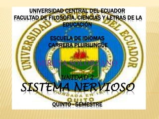 UNIVERSIDAD CENTRAL DEL ECUADOR
FACULTAD DE FILOSOFÍA, CIENCIAS Y LETRAS DE LA
EDUCACIÓN
ESCUELA DE IDIOMAS
CARRERA PLURILINGÜE
MIREYA SOLORZANO
UNIDAD 2
SISTEMA NERVIOSO
QUINTO - SEMESTRE
 