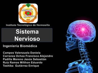 Sistema 
Nervioso 
 