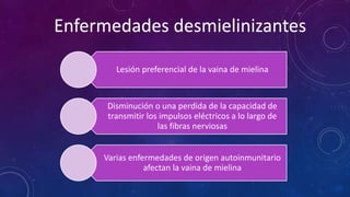 Enfermedades desmielinizantes 
Lesión preferencial de la vaina de mielina 
Disminución o una perdida de la capacidad de 
transmitir los impulsos eléctricos a lo largo de 
las fibras nerviosas 
Varias enfermedades de origen autoinmunitario 
afectan la vaina de mielina 
 