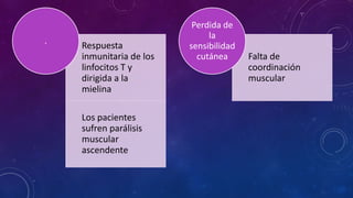 Respuesta 
inmunitaria de los 
linfocitos T y 
dirigida a la 
mielina 
Los pacientes 
sufren parálisis 
muscular 
ascendente 
. 
Falta de 
coordinación 
muscular 
Perdida de 
la 
sensibilidad 
cutánea 
 