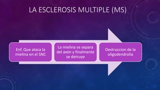 LA ESCLEROSIS MULTIPLE (MS) 
Enf. Que ataca la 
mielina en el SNC 
La mielina se separa 
del axón y finalmente 
se detruye 
Destruccion de la 
oligodendrolia 
 