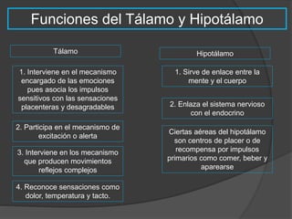Funciones del Tálamo y Hipotálamo 
Tálamo Hipotálamo 
1. Interviene en el mecanismo 
encargado de las emociones 
pues asocia los impulsos 
sensitivos con las sensaciones 
placenteras y desagradables 
2. Participa en el mecanismo de 
excitación o alerta 
3. Interviene en los mecanismo 
que producen movimientos 
reflejos complejos 
1. Sirve de enlace entre la 
mente y el cuerpo 
2. Enlaza el sistema nervioso 
con el endocrino 
Ciertas aéreas del hipotálamo 
son centros de placer o de 
recompensa por impulsos 
primarios como comer, beber y 
aparearse 
4. Reconoce sensaciones como 
dolor, temperatura y tacto. 
 