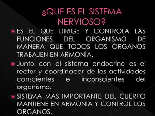  ES EL QUE DIRIGE Y CONTROLA LAS
FUNCIONES DEL ORGANISMO DE
MANERA QUE TODOS LOS ÓRGANOS
TRABAJEN EN ARMONÍA.
 Junto con el sistema endocrino es el
rector y coordinador de las actividades
conscientes e inconscientes del
organismo.
 SISTEMA MAS IMPORTANTE DEL CUERPO
MANTIENE EN ARMONIA Y CONTROL LOS
ORGANOS.
 