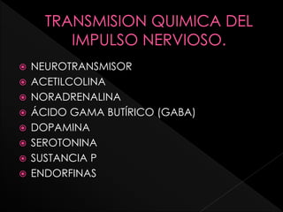 NEUROTRANSMISOR
 ACETILCOLINA
 NORADRENALINA
 ÁCIDO GAMA BUTÍRICO (GABA)
 DOPAMINA
 SEROTONINA
 SUSTANCIA P
 ENDORFINAS
 