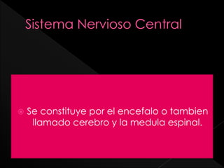  Se constituye por el encefalo o tambien
llamado cerebro y la medula espinal.
 