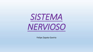 SISTEMA
NERVIOSO
Felipe Zapata Gaviria
 