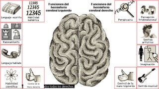 Habilidad
científica
Control de la
Mano derecha
 