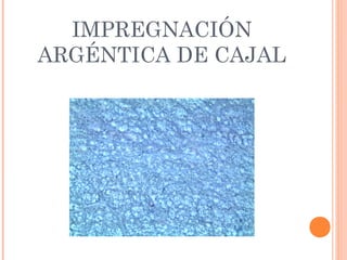IMPREGNACIÓN
ARGÉNTICA DE CAJAL
 