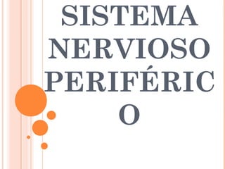 SISTEMA
NERVIOSO
PERIFÉRIC
O
 