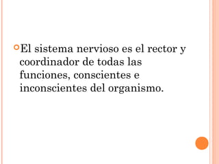 El sistema nervioso es el rector y
coordinador de todas las
funciones, conscientes e
inconscientes del organismo.
 