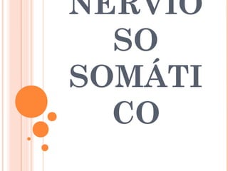 NERVIO
SO
SOMÁTI
CO
 