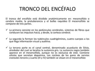 TRONCO DEL ENCÉFALO
El tronco del encéfalo está dividido anatómicamente en: mesencéfalo o
cerebro medio, la protuberancia y el bulbo raquídeo El mesencéfalo se
compone de tres partes.
 La primera consiste en los pedúnculos cerebrales, sistemas de fibras que
conducen los impulsos hacia, y desde, la corteza cerebral.
 La segunda la forman los tubérculos cuadrigéminos, cuatro cuerpos a los
que llega información visual y auditiva.
 La tercera parte es el canal central, denominado acueducto de Silvio,
alrededor del cual se localiza la sustancia gris. La sustancia negra también
aparece en el mesencéfalo, aunque no es exclusiva de éste. Contiene
células que secretan dopamina. Los núcleos de los pares de nervios
craneales tercero y cuarto (III y IV) también se sitúan en el mesencéfalo
 