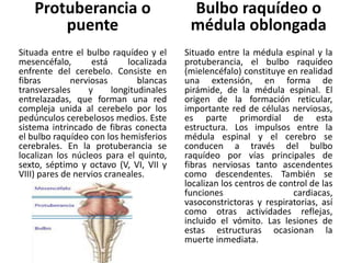 Protuberancia o
puente
Situada entre el bulbo raquídeo y el
mesencéfalo, está localizada
enfrente del cerebelo. Consiste en
fibras nerviosas blancas
transversales y longitudinales
entrelazadas, que forman una red
compleja unida al cerebelo por los
pedúnculos cerebelosos medios. Este
sistema intrincado de fibras conecta
el bulbo raquídeo con los hemisferios
cerebrales. En la protuberancia se
localizan los núcleos para el quinto,
sexto, séptimo y octavo (V, VI, VII y
VIII) pares de nervios craneales.
Bulbo raquídeo o
médula oblongada
Situado entre la médula espinal y la
protuberancia, el bulbo raquídeo
(mielencéfalo) constituye en realidad
una extensión, en forma de
pirámide, de la médula espinal. El
origen de la formación reticular,
importante red de células nerviosas,
es parte primordial de esta
estructura. Los impulsos entre la
médula espinal y el cerebro se
conducen a través del bulbo
raquídeo por vías principales de
fibras nerviosas tanto ascendentes
como descendentes. También se
localizan los centros de control de las
funciones cardiacas,
vasoconstrictoras y respiratorias, así
como otras actividades reflejas,
incluido el vómito. Las lesiones de
estas estructuras ocasionan la
muerte inmediata.
 