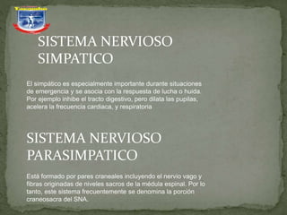 SISTEMA NERVIOSO
SIMPATICO
El simpático es especialmente importante durante situaciones
de emergencia y se asocia con la respuesta de lucha o huida.
Por ejemplo inhibe el tracto digestivo, pero dilata las pupilas,
acelera la frecuencia cardiaca, y respiratoria
SISTEMA NERVIOSO
PARASIMPATICO
Está formado por pares craneales incluyendo el nervio vago y
fibras originadas de niveles sacros de la médula espinal. Por lo
tanto, este sistema frecuentemente se denomina la porción
craneosacra del SNA.
 