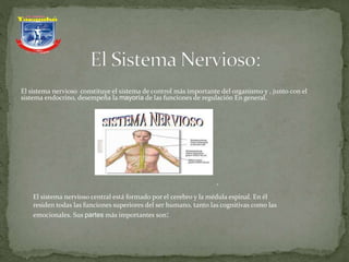 El sistema nervioso constituye el sistema de control más importante del organismo y , junto con el
sistema endocrino, desempeña la mayoría de las funciones de regulación En general.
.
El sistema nervioso central está formado por el cerebro y la médula espinal. En él
residen todas las funciones superiores del ser humano, tanto las cognitivas como las
emocionales. Sus partes más importantes son:
 