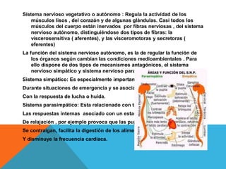 Sistema nervioso vegetativo o autónomo : Regula la actividad de los
músculos lisos , del corazón y de algunas glándulas. Casi todos los
músculos del cuerpo están inervados por fibras nerviosas , del sistema
nervioso autónomo, distinguiéndose dos tipos de fibras: la
viscerosensitiva ( aferentes), y las visceromotoras y secretoras (
eferentes)
La función del sistema nervioso autónomo, es la de regular la función de
los órganos según cambian las condiciones medioambientales . Para
ello dispone de dos tipos de mecanismos antagónicos, el sistema
nervioso simpático y sistema nervioso parasimpático.
Sistema simpático: Es especialmente importante
Durante situaciones de emergencia y se asocia a
Con la respuesta de lucha o huida.
Sistema parasimpático: Esta relacionado con todas
Las respuestas internas asociado con un estado
De relajación , por ejemplo provoca que las pupilas
Se contraigan, facilita la digestión de los alimentos
Y disminuye la frecuencia cardiaca.
 