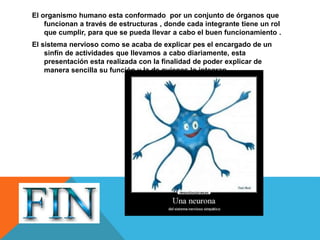 El organismo humano esta conformado por un conjunto de órganos que
funcionan a través de estructuras , donde cada integrante tiene un rol
que cumplir, para que se pueda llevar a cabo el buen funcionamiento .
El sistema nervioso como se acaba de explicar pes el encargado de un
sinfín de actividades que llevamos a cabo diariamente, esta
presentación esta realizada con la finalidad de poder explicar de
manera sencilla su función y la de quienes lo integran.
 