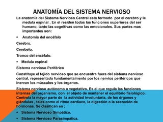 ANATOMÍA DEL SISTEMA NERVIOSO
La anatomía del Sistema Nervioso Central esta formado por el cerebro y la
medula espinal . En el residen todas las funciones superiores del ser
humano, tanto las cognitivas como las emocionales. Sus partes mas
importantes son:
 Anatomía del encéfalo
Cerebro.
Cerebelo.
Tronco del encéfalo.
 Medula espinal
Sistema nervioso Periférico
Constituye el tejido nervioso que se encuentra fuera del sistema nervioso
central, representado fundamentalmente por los nervios periféricos que
inervan los músculos y los órganos.
Sistema nervioso autónomo o vegetativo. Es el que regula las funciones
internas del organismo, con el objeto de mantener el equilibrio fisiológico.
Controla la mayor parte de la actividad involuntaria, de los órganos y
glándulas , tales como el ritmo cardiaco, la digestión o la secreción de
hormonas. Se clasifican en ;
 Sistema Nervioso Simpático.
 Sistema Nervioso Parasimpática.
 