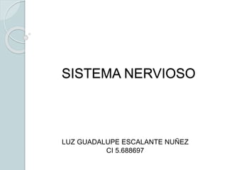 SISTEMA NERVIOSO
LUZ GUADALUPE ESCALANTE NUÑEZ
CI 5.688697
 