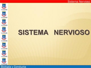 Sistema Nervioso
Biología y Conducta
 