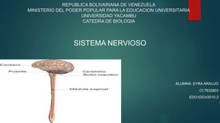REPUBLICA BOLIVARIANA DE VENEZUELA
MINISTERIO DEL PODER POPULAR PARA LA EDUCACION UNIVERSITARIA
UNIVERSIDAD YACAMBU
CATEDRA DE BIOLOGIA
SISTEMA NERVIOSO
ALUMNA: EYRA ARAUJO
CI:7832803
EDO1DOV2015-2
 