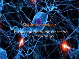 Sistema nervioso
El sistema de control más importante
de nuestro cuerpo
 