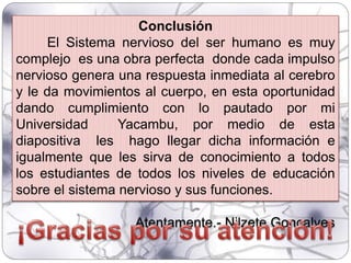Conclusión
El Sistema nervioso del ser humano es muy
complejo es una obra perfecta donde cada impulso
nervioso genera una respuesta inmediata al cerebro
y le da movimientos al cuerpo, en esta oportunidad
dando cumplimiento con lo pautado por mi
Universidad Yacambu, por medio de esta
diapositiva les hago llegar dicha información e
igualmente que les sirva de conocimiento a todos
los estudiantes de todos los niveles de educación
sobre el sistema nervioso y sus funciones.
Atentamente.- Nilzete Goncalves
 