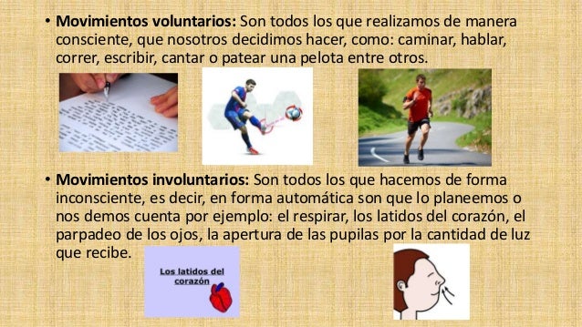 Sistema nervioso