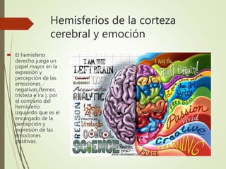 Hemisferios de la corteza
cerebral y emoción
 El hemisferio
derecho juega un
papel mayor en la
expresión y
percepción de las
emociones
negativas (temor,
tristeza e ira ), por
el contrario del
hemisferio
izquierdo que es el
encargado de la
percepción y
expresión de las
emociones
positivas.
 