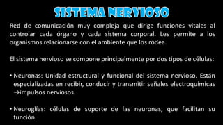 Red de comunicación muy compleja que dirige funciones vitales al
controlar cada órgano y cada sistema corporal. Les permite a los
organismos relacionarse con el ambiente que los rodea.
El sistema nervioso se compone principalmente por dos tipos de células:
• Neuronas: Unidad estructural y funcional del sistema nervioso. Están
especializadas en recibir, conducir y transmitir señales electroquímicas
→impulsos nerviosos.
• Neuroglías: células de soporte de las neuronas, que facilitan su
función.
 