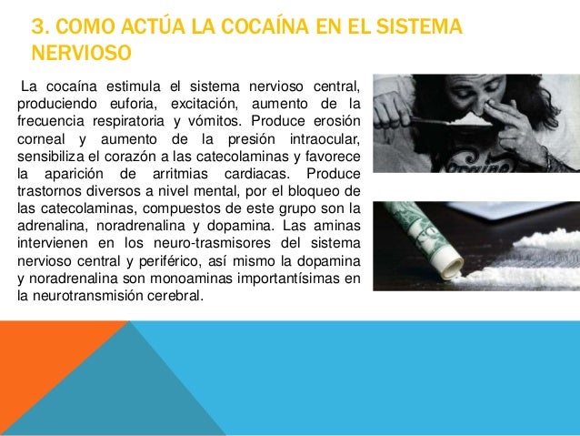 Sistema nervioso, adicciones y cocaina