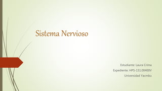 Sistema Nervioso
Estudiante: Laura Crima
Expediente: HPS-151.00400V
Universidad Yacmbu
 